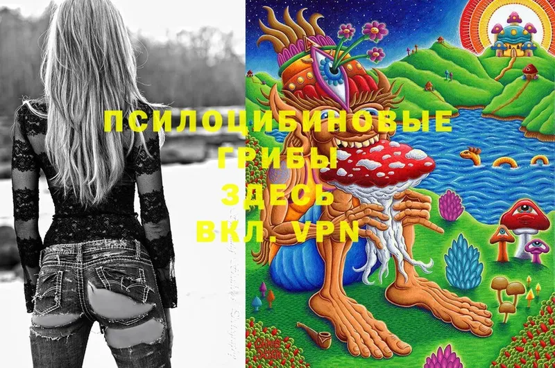 Галлюциногенные грибы Psilocybe  hydra сайт  Апрелевка 